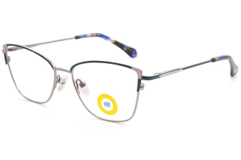 Brýlová obruba D52005 C6